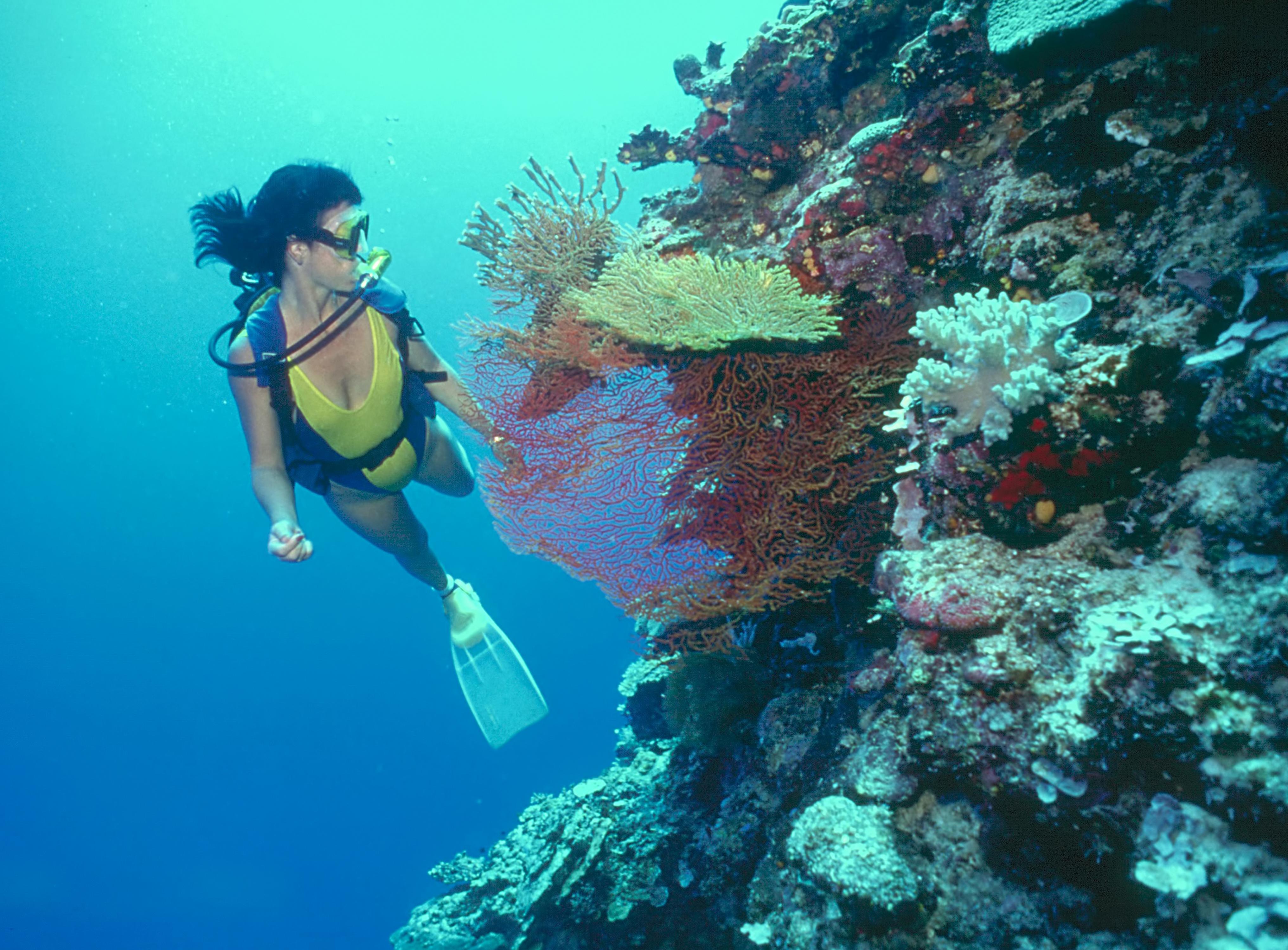 Loreto Bay Golf Resort & Spa At Baja Loreto (Baja California Sur) Exterior foto Scuba diving